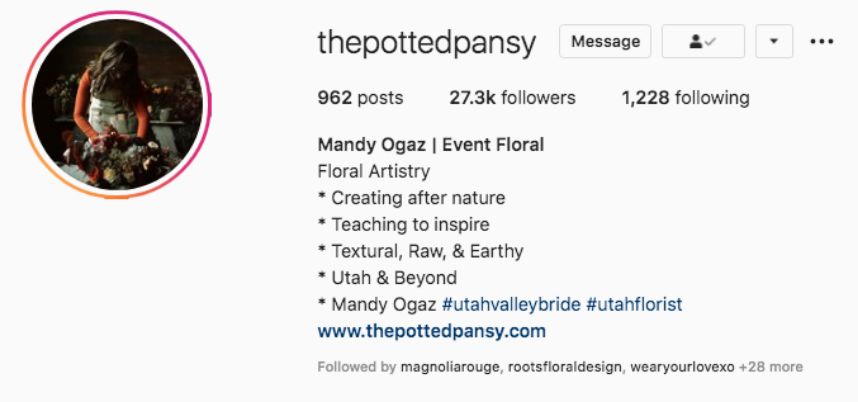 Instagram bios